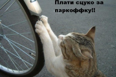 Вело приколы